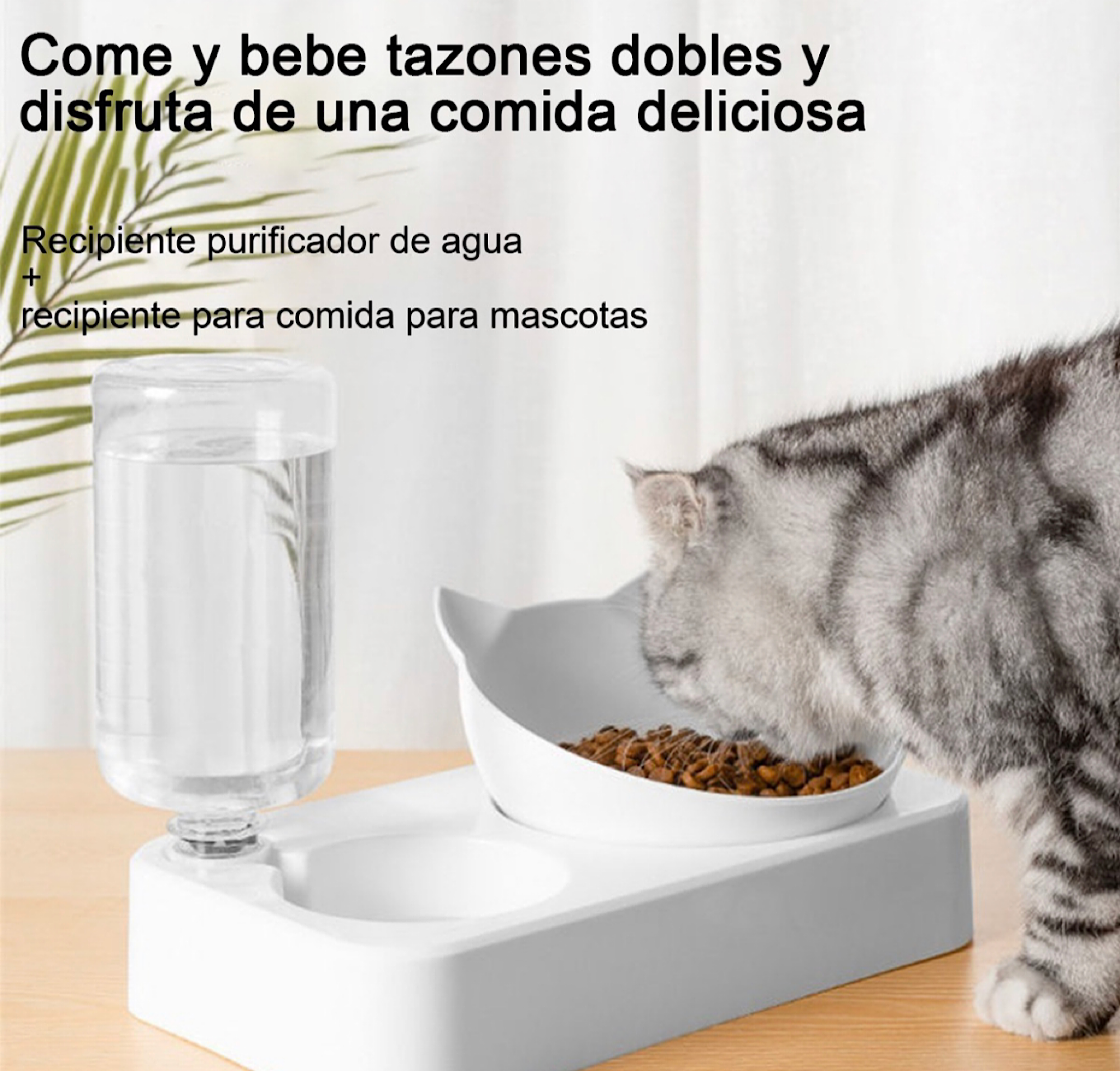 Bebedero Dispensador Automático Alimento Para Mascotas Perro
