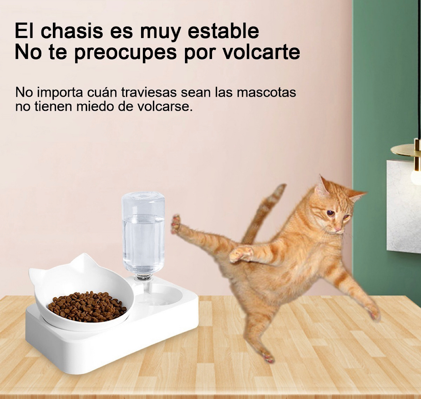 Bebedero Dispensador Automático Alimento Para Mascotas Perro