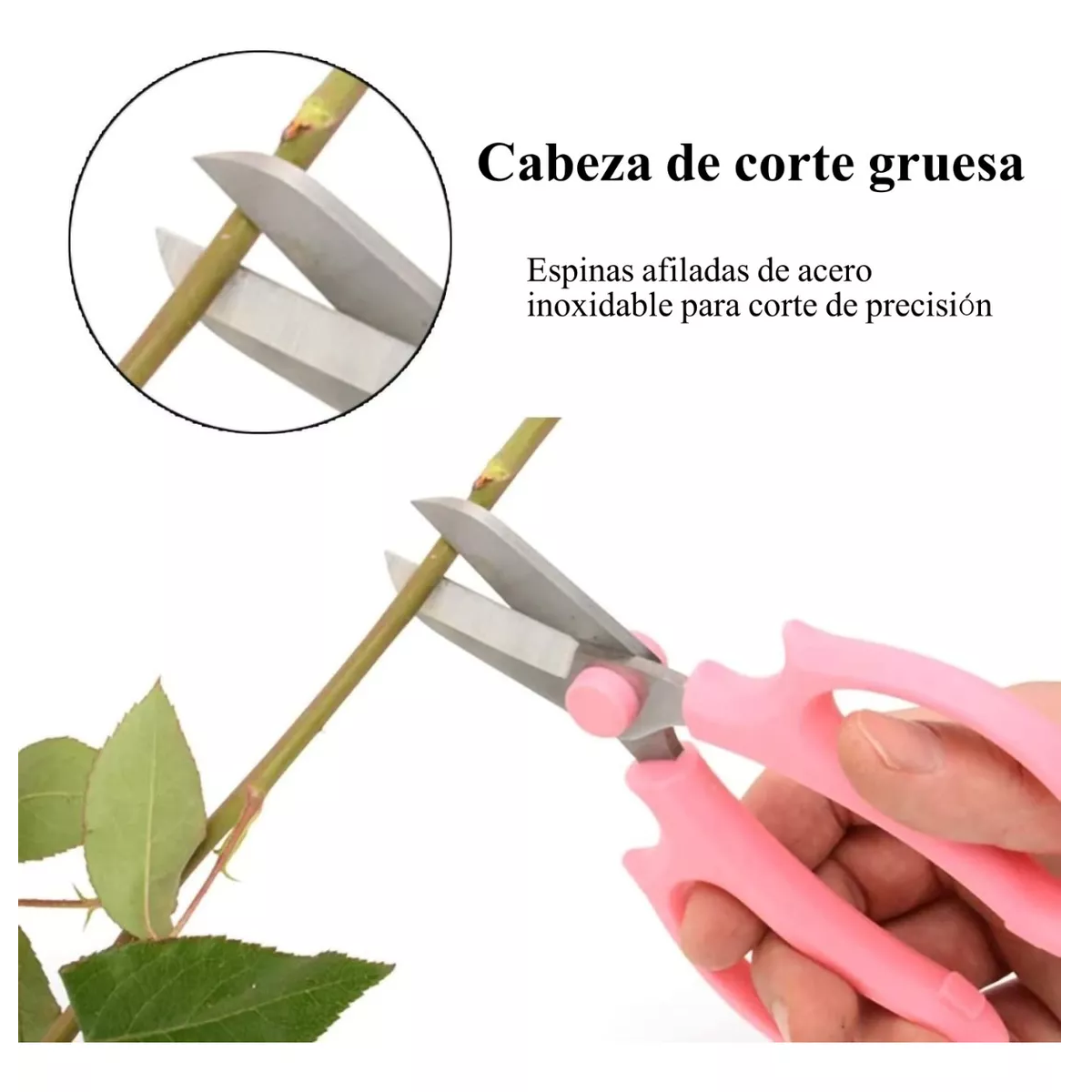 Herramientas Para Quitar Espinas De Rosa,tijeras Floristería