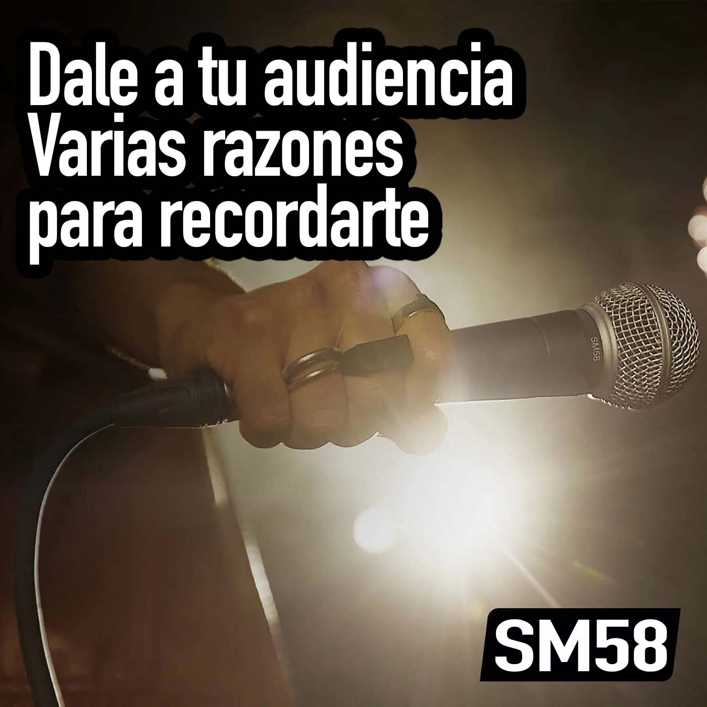 Micrófono Profesional Sm58 Ideal Para Voces Y Coros Dinámico Cardioide.