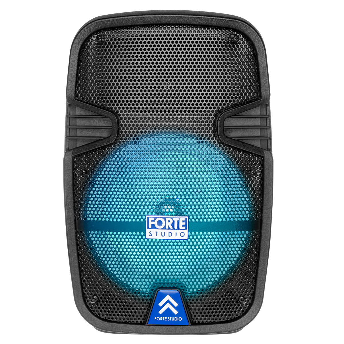 Bafle Profesional 8" Recargable 6200 W PMPO Fsa-5708c.