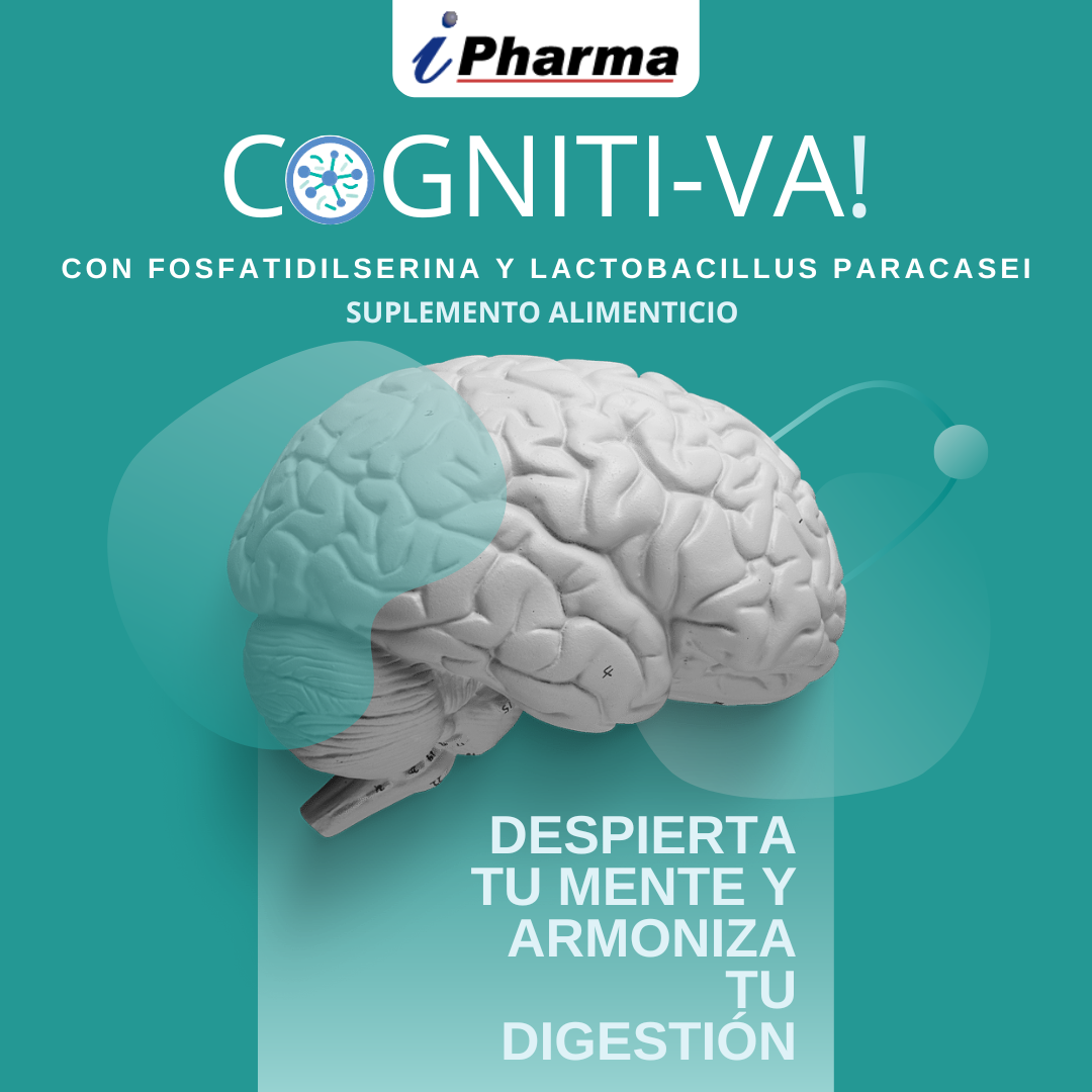 Probióticos para la flora intestinal + Fosfatidilserina mejora la concentración Cognitiva 60 tabletas.