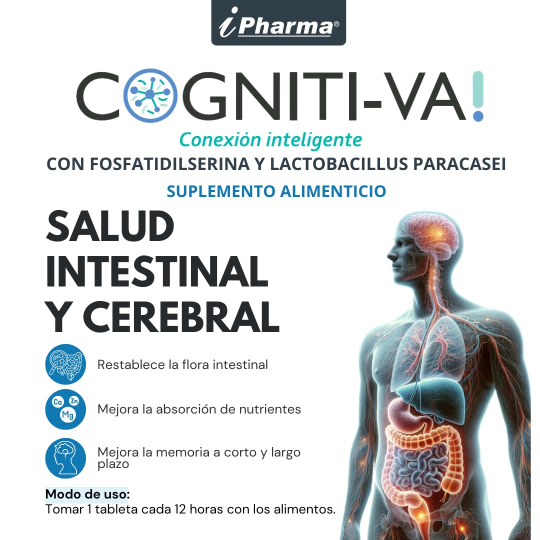 Probióticos para la flora intestinal + Fosfatidilserina mejora la concentración Cognitiva 60 tabletas.