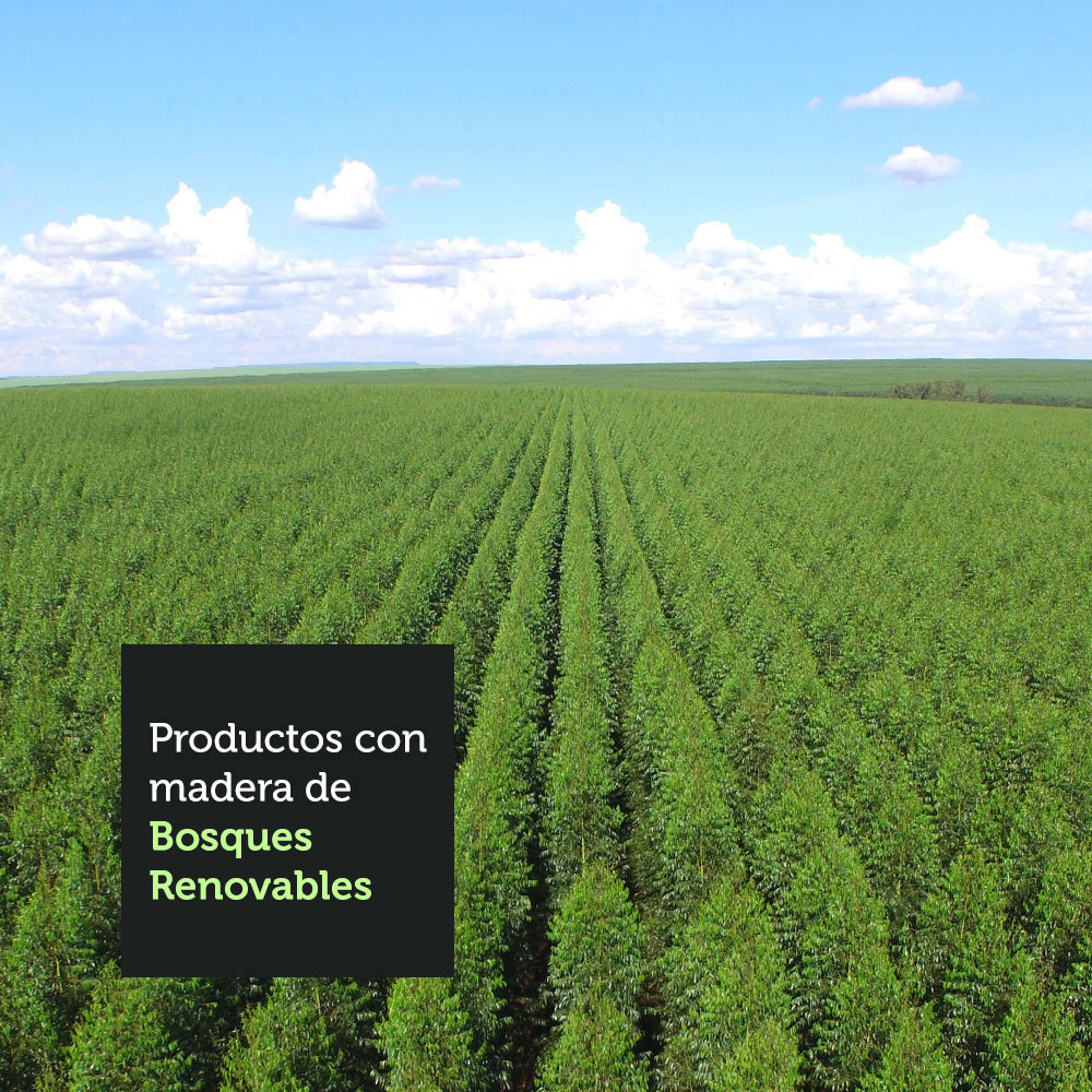 Despensero Alacena Multiuso Organizador Madesa Con Nichos B.