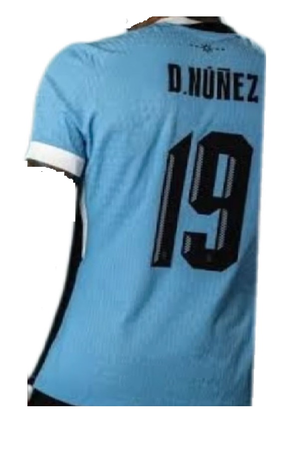 Nuevo! Jersey Uruguay 2024/2025 Titular Local Azul Darwin Nuñez 9 Talla S.