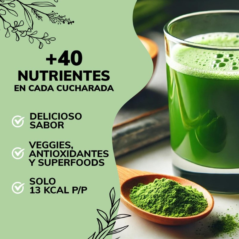 Suplemento Alimenticio Quotidien Green Mix, Jugo Verde en Polvo con Té Matcha, Clorofila, Enzimas Digestivas, Probióticos Bloom 150g.