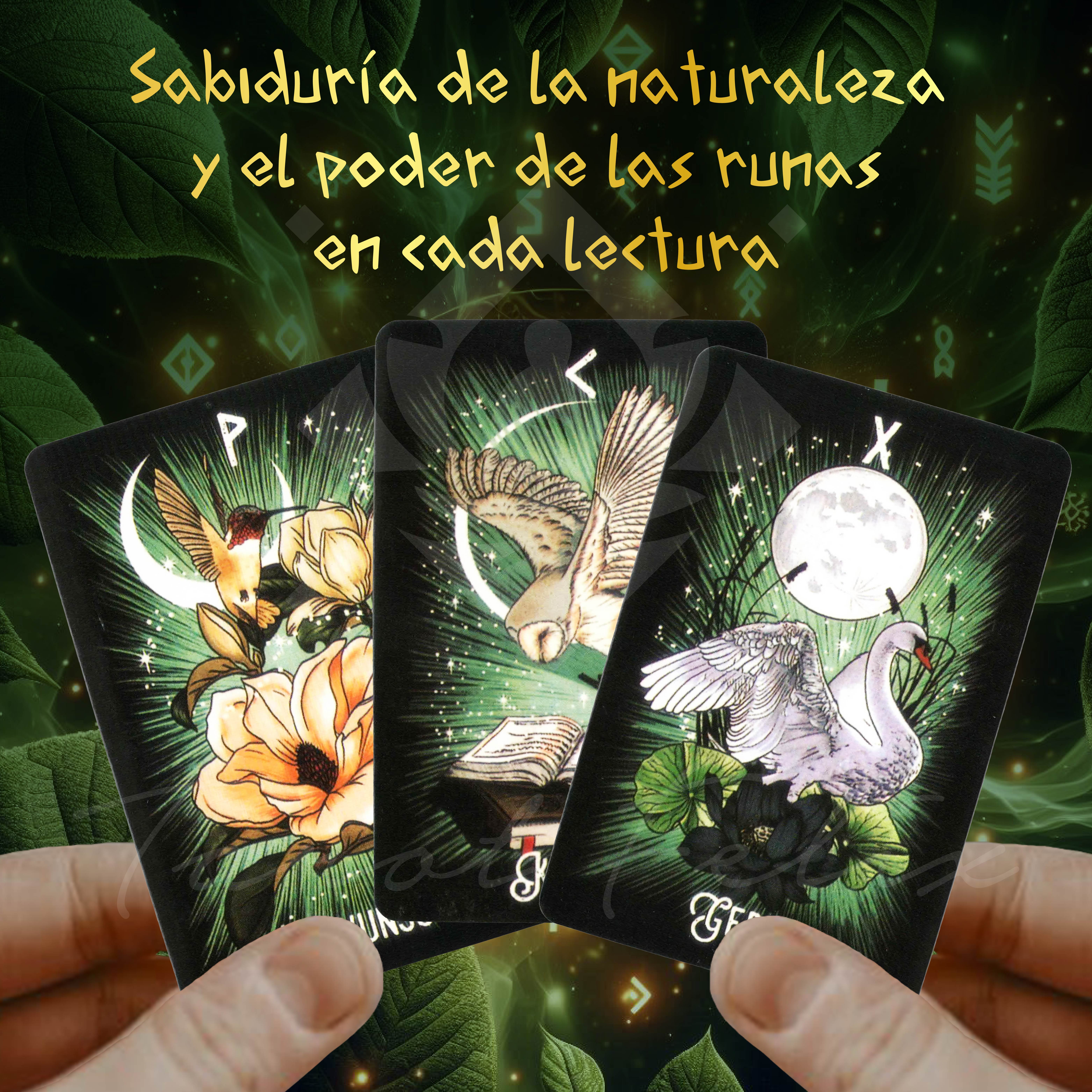 Cartas Oráculo Runico Familiares De La Bruja.