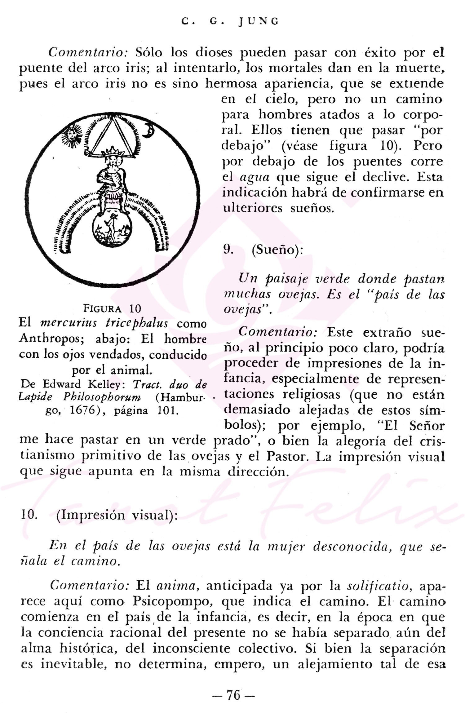 Psicología y Alquimia de Carl Jung un viaje del inconsciente.