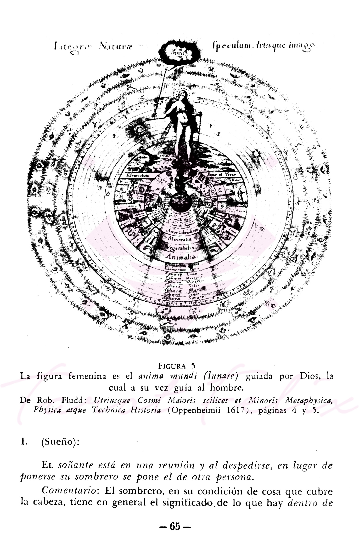 Psicología y Alquimia de Carl Jung un viaje del inconsciente.