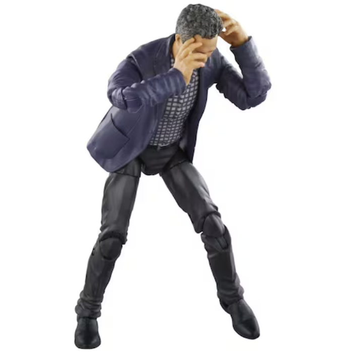 Avengers: Infinity Saga Marvel Legends Bruce Banner.