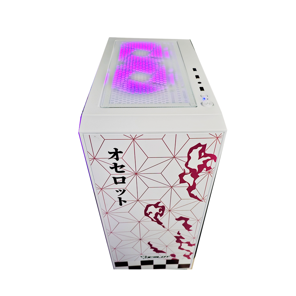 CPU AMD RYZEN 5 5500/ RX6600XT/ 32 GB RAM/ 1TB SSD M.2/ MB B550M/ 650W 80 PLUS.