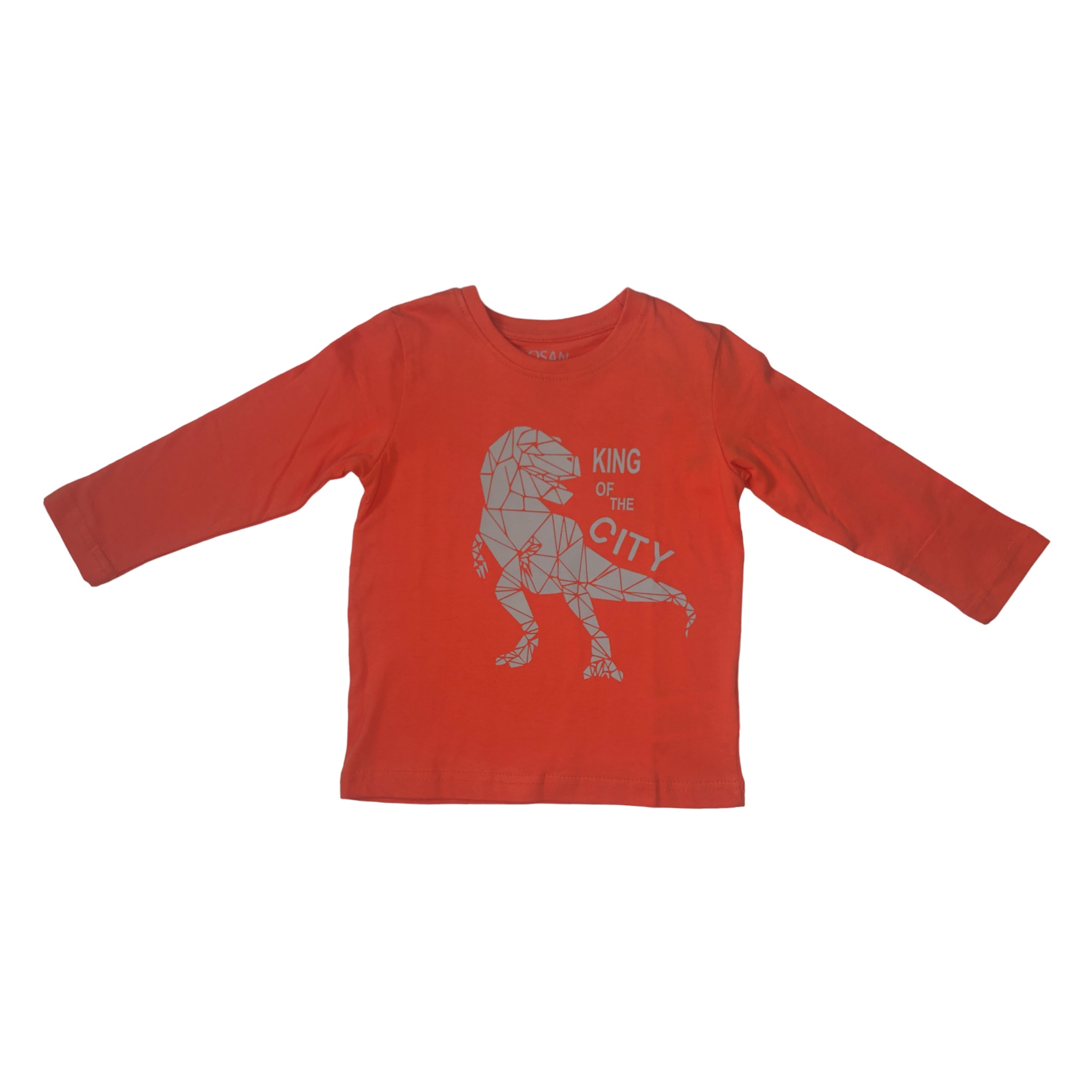 Playera manga larga con estampado para niño LOSAN.