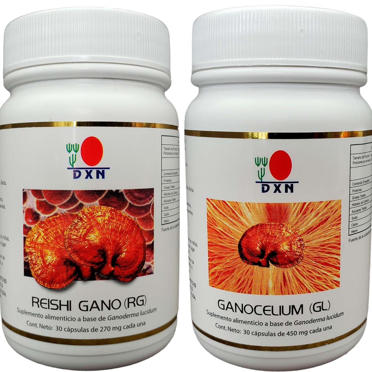 Dxn 1 Rg Reishi Gano, 1 Gl Ganocelium En Capsulas.