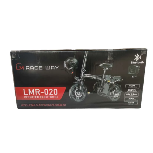 LM RACE WAY LMR-020.