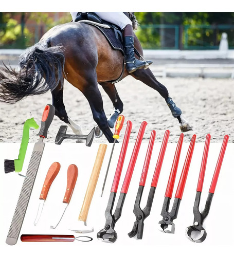 Kit De Herramientas Para Cortar Pezuñas De Herradura 12pcs.