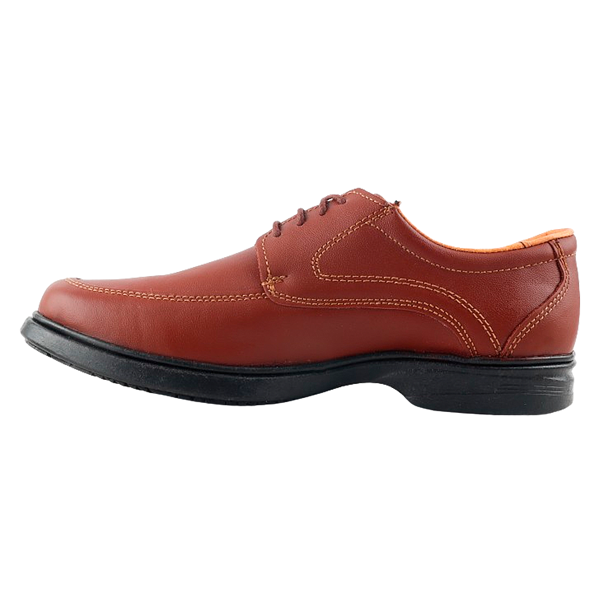 Zapato Pie Diabetico Juanetes Artritis 100% Piel 150 Shedron.