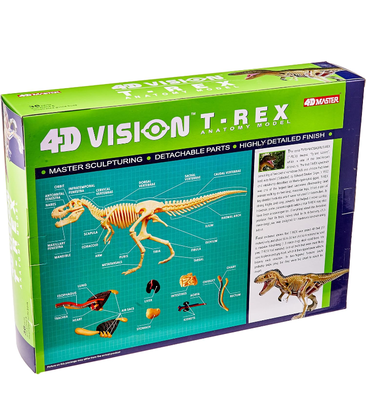 Modelo anatomía 3D dinosaurio T Rex.