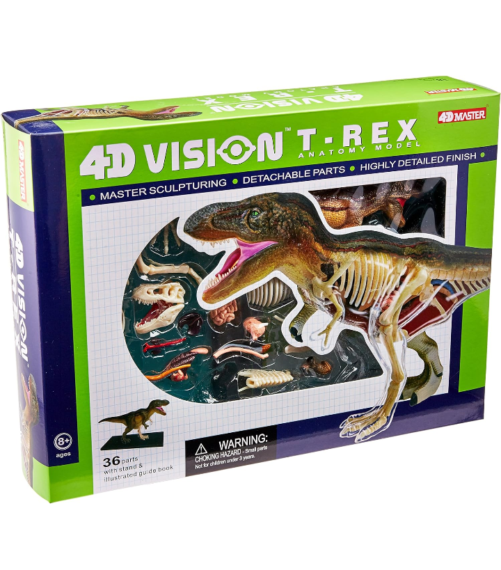 Modelo anatomía 3D dinosaurio T Rex.