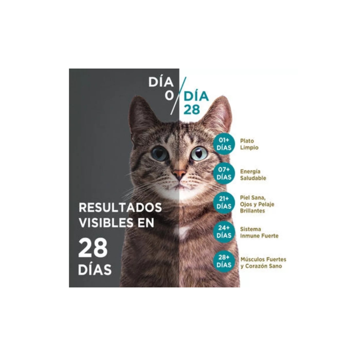 Alimento Para Gato Purina® One® Esterilizado Con Pollo Y Salmón Premium 7kg