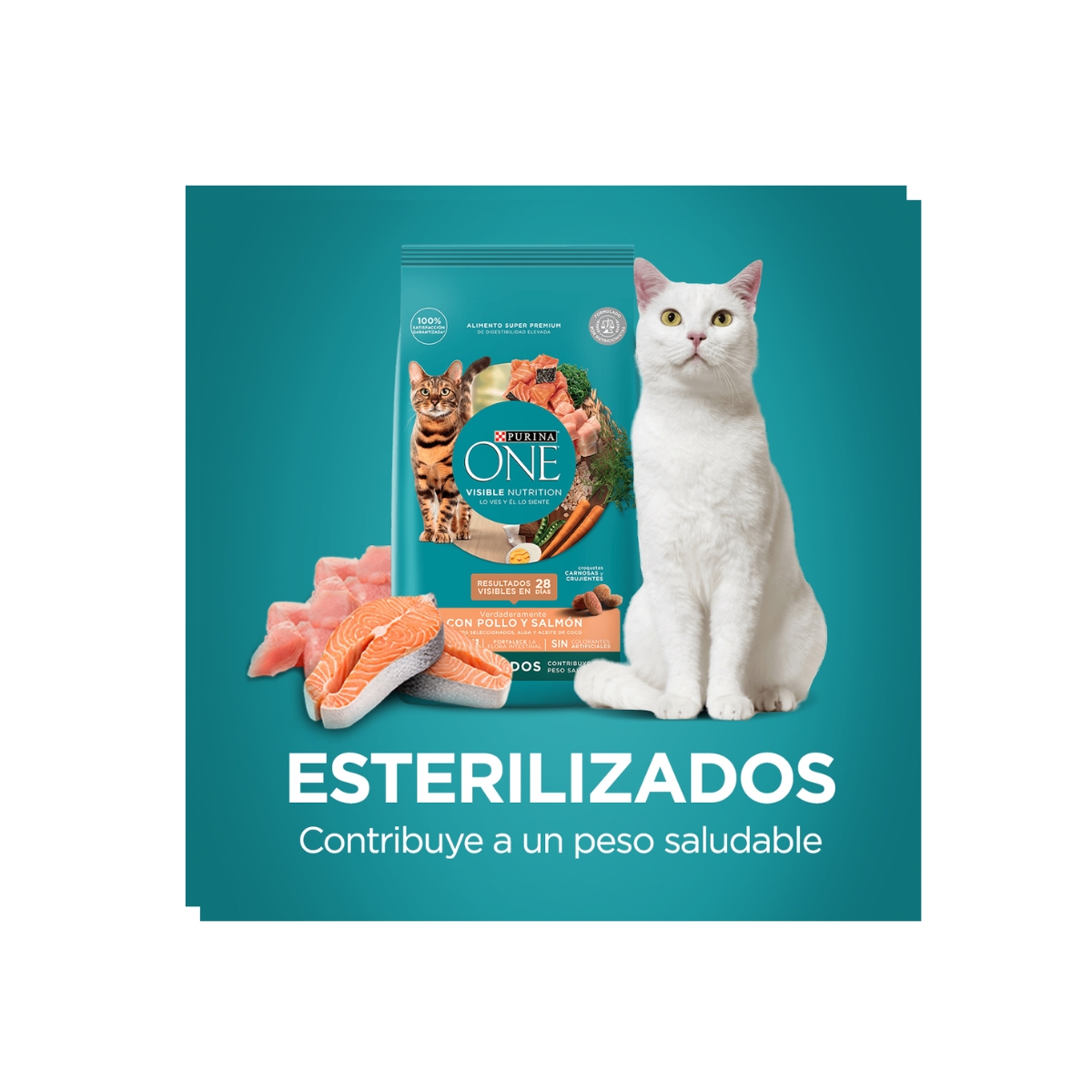 Alimento Para Gato Purina® One® Esterilizado Con Pollo Y Salmón Premium 7kg