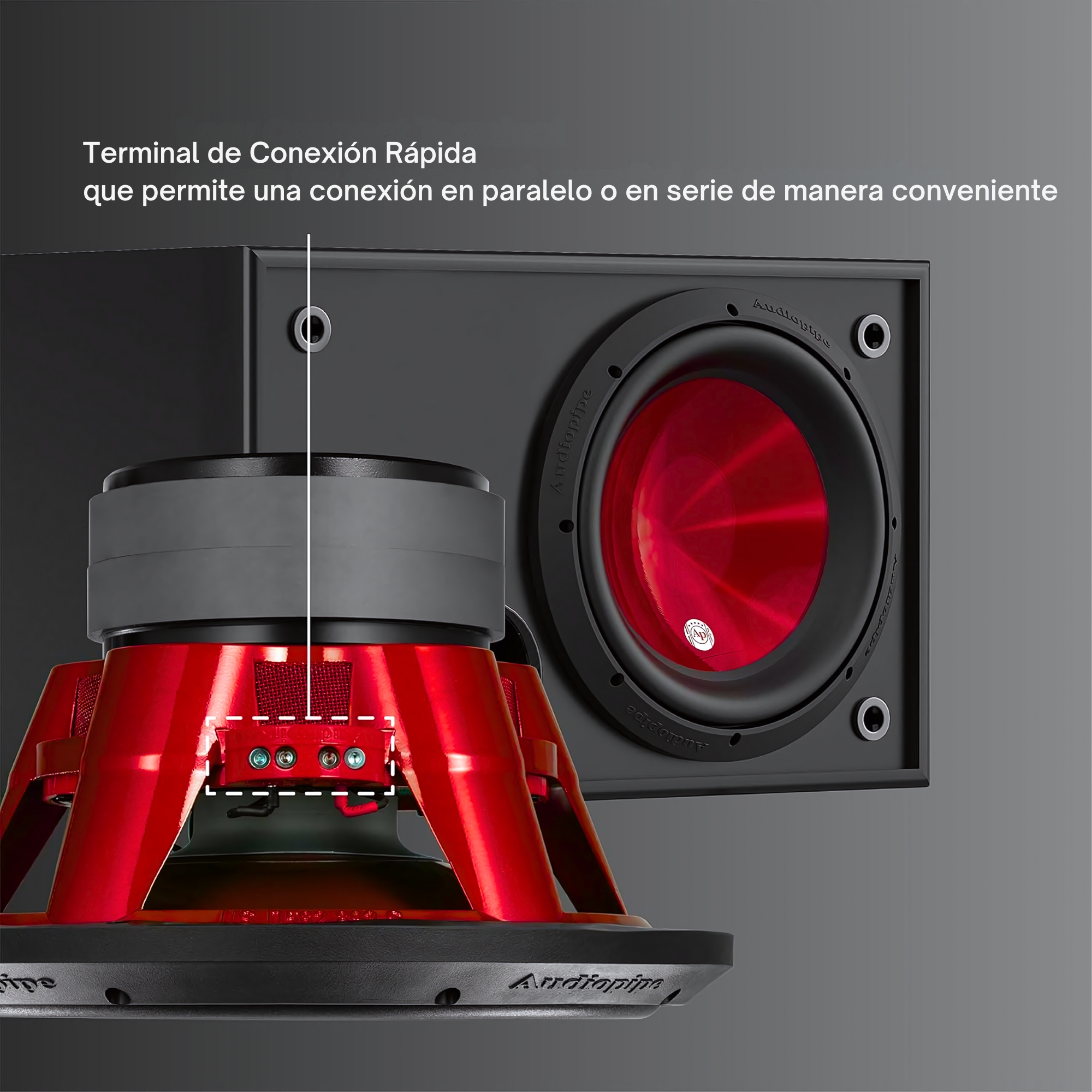 Subwoofer Audiopipe TXXAPD12RD 12 PLG 1600W Eye Candy Rojo