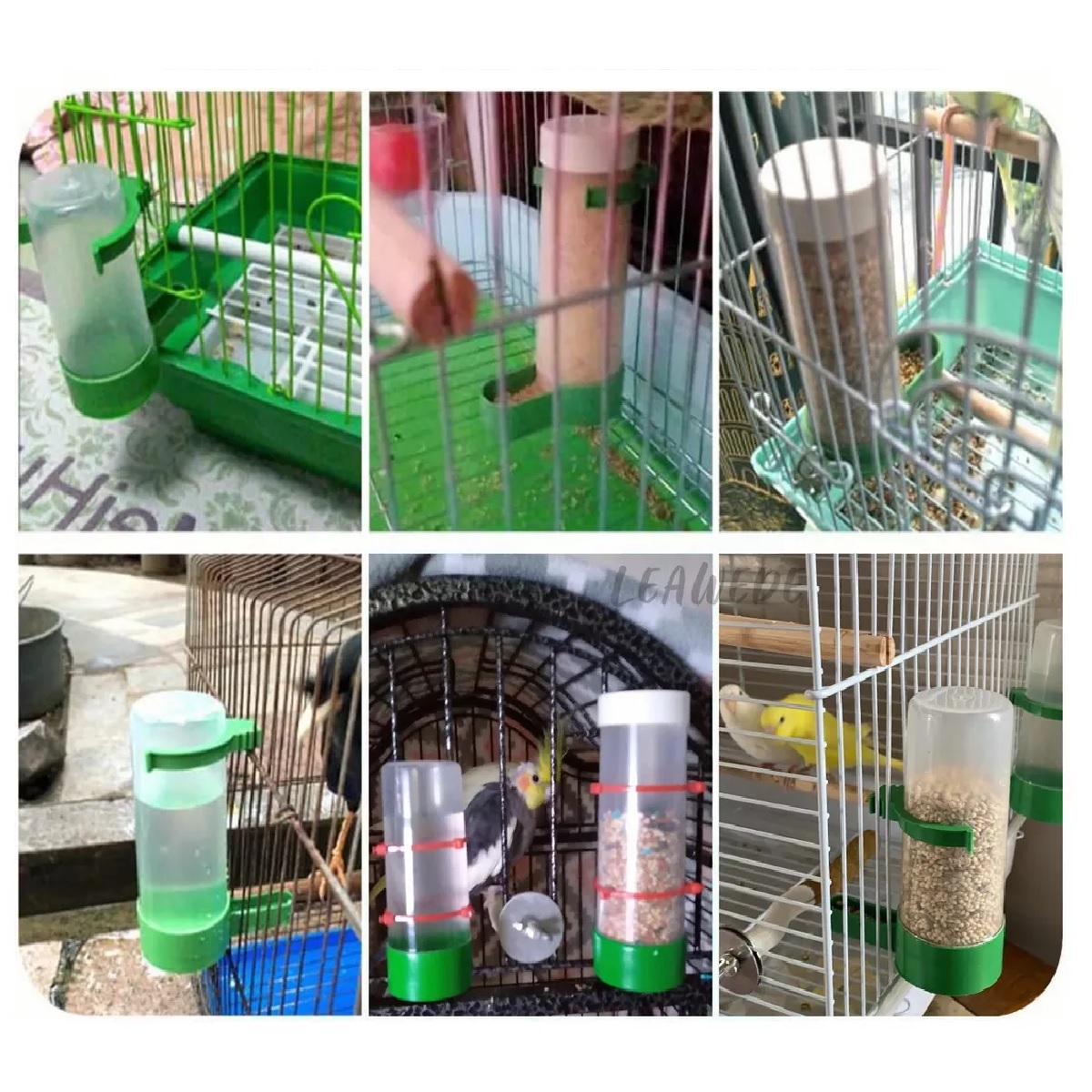 Bebederos Separadores Para Pájaros Dispensador Agua 10pzs