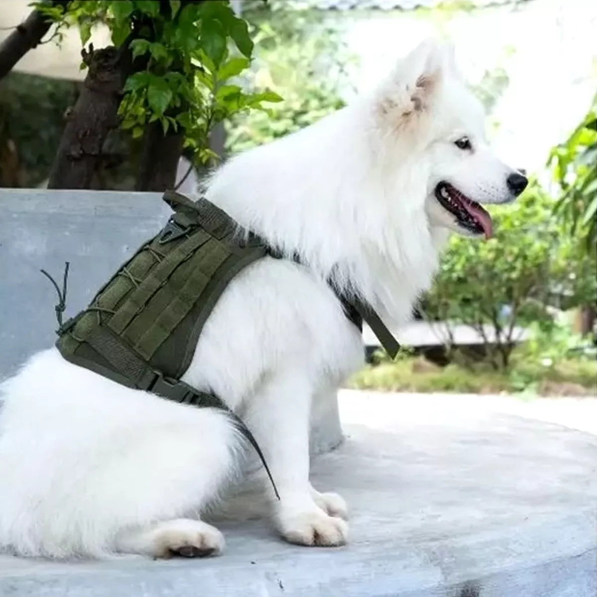 Pechera Táctica Arnés Para Perro Verde Militar Talla XL