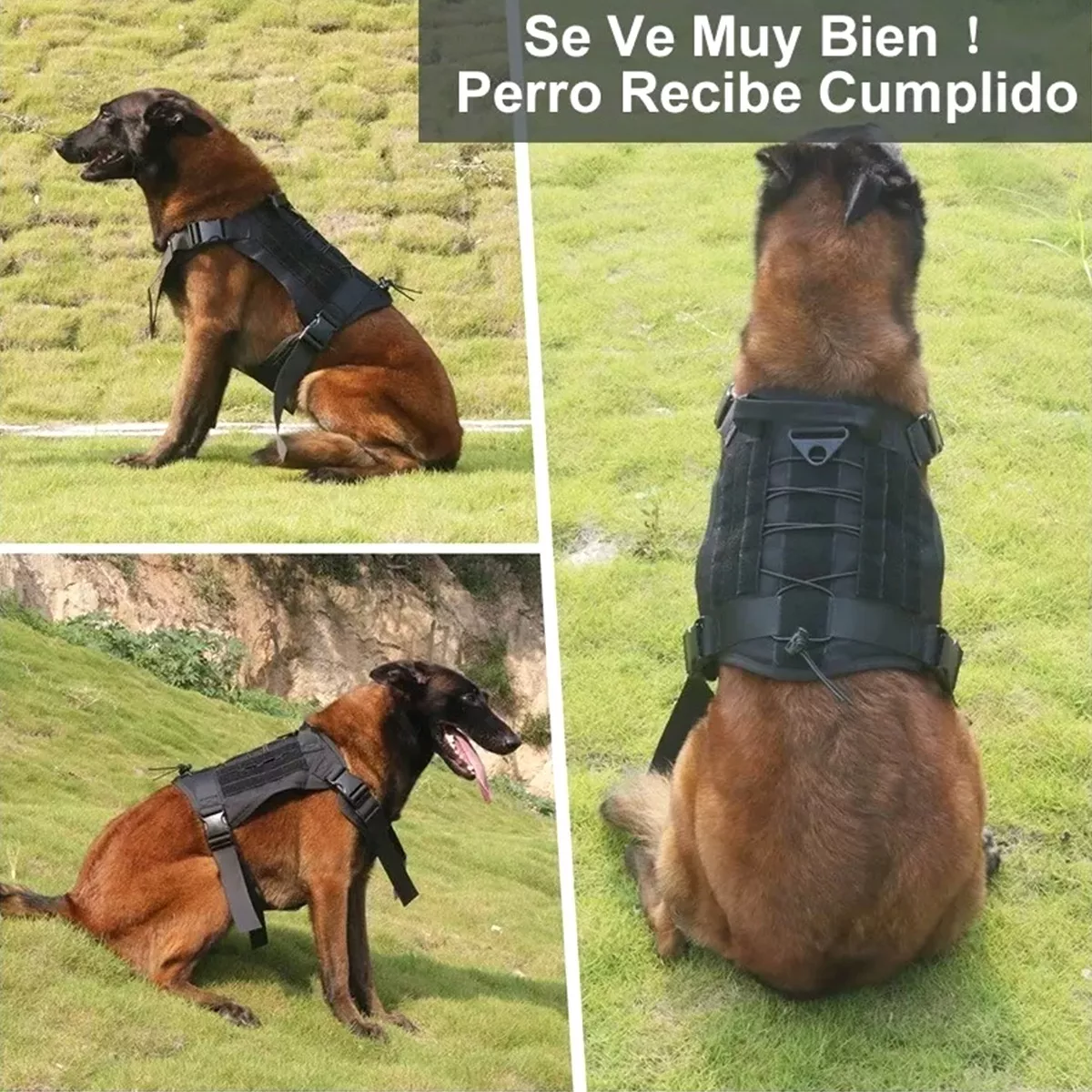 Pechera Táctica Arnés Para Perro Mediano Grande Con Parches Negro Talla G