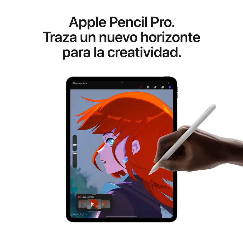 iPad Pro 13 Chip M4 256 GB Gris Espacial 
