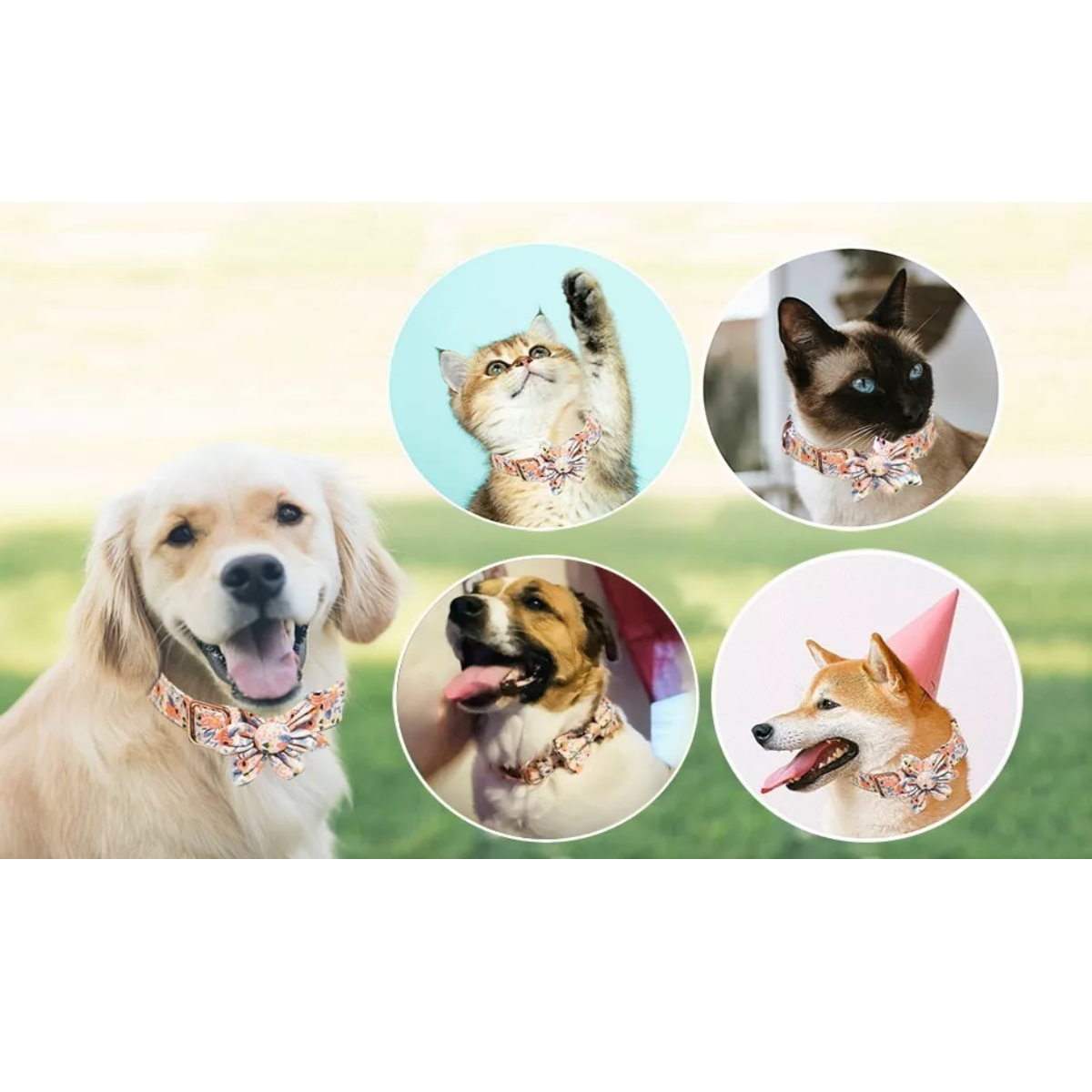 Collar Para Mascotas De Algodón Puro Transpirable Para Perro Verde Talla M