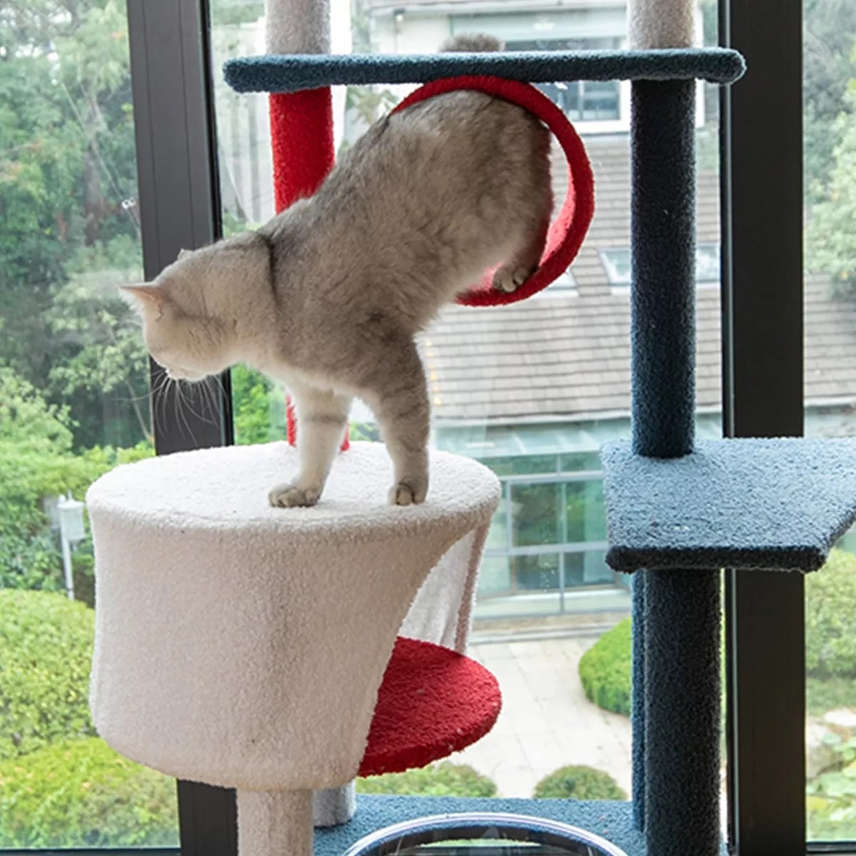Torre Árbol Rascador Para Gato Con Casa Varios Niveles 165cm