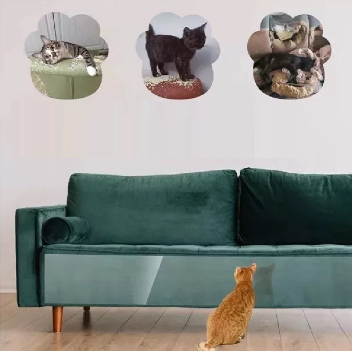 Protector Antirrasguños De Gato Para Muebles, 10 Piezas