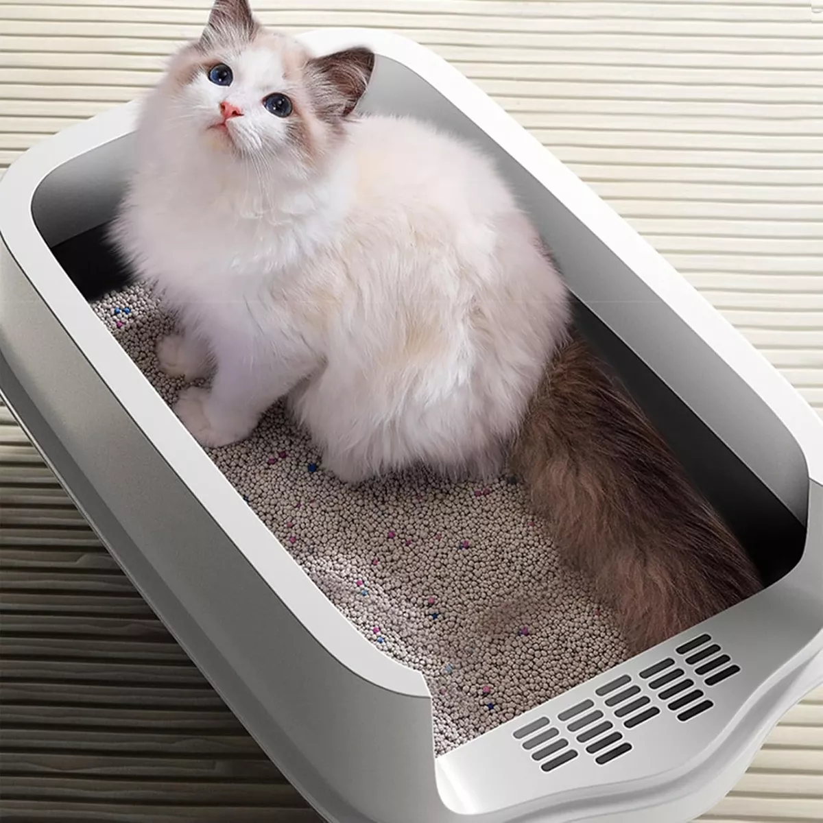 Arenero Sanitario Cerrado Para Gato Con Pala Puerta Abatible Rosa