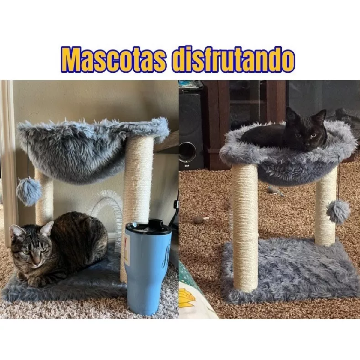 Mueble / Árbol Para Gatos, Hamaca De Felpa, Rascador Gatos