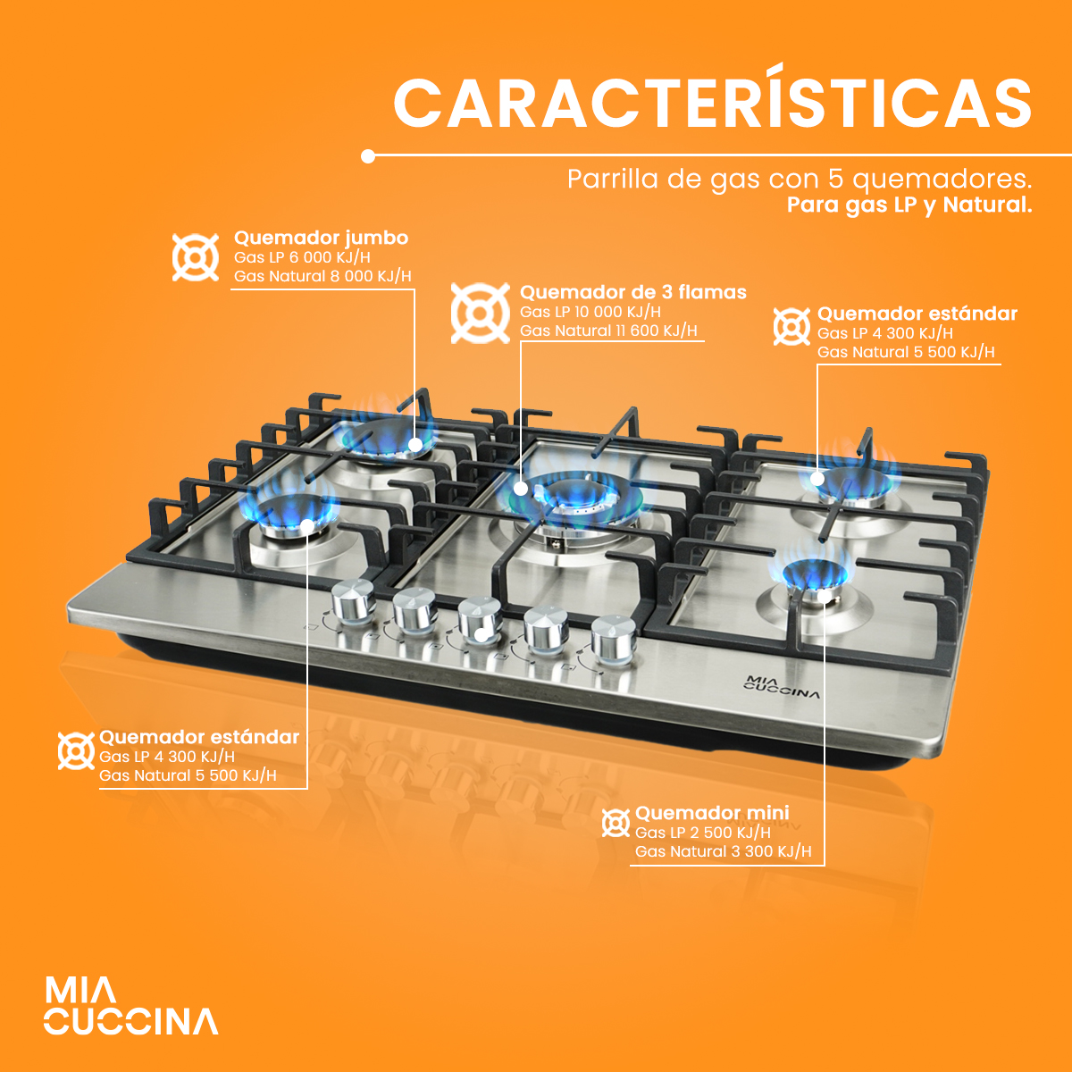 Parrilla A Gas 5 Quemadores Acero Inoxidable Mia Cuccina 110 Color Plateado