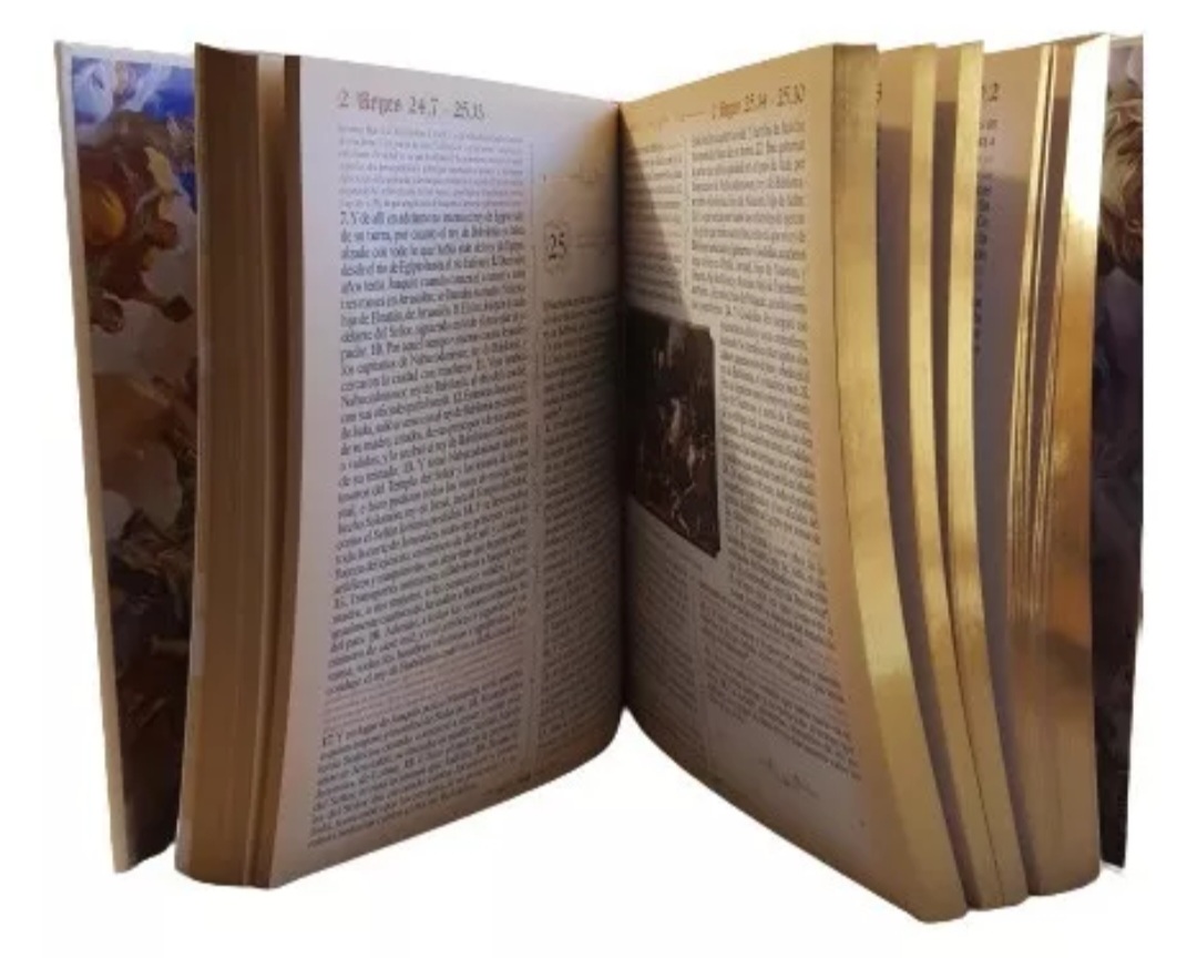 Sagrada Biblia Dorada De Lujo Edición Latinoamericana