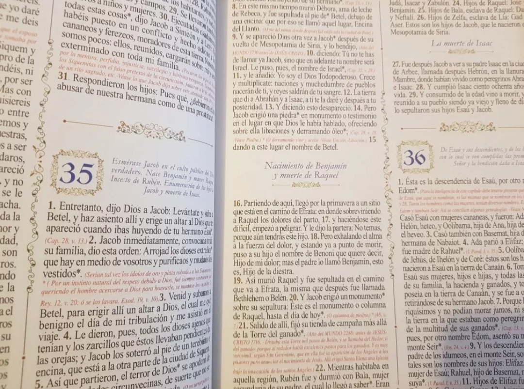 Sagrada Biblia Dorada De Lujo Edición Latinoamericana
