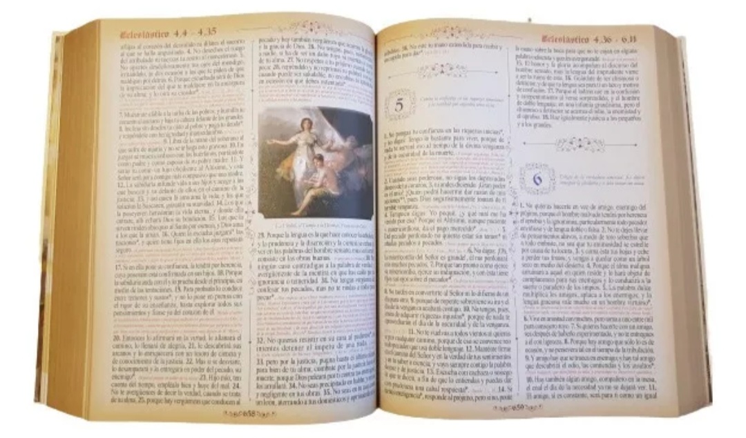 Sagrada Biblia Dorada De Lujo Edición Latinoamericana