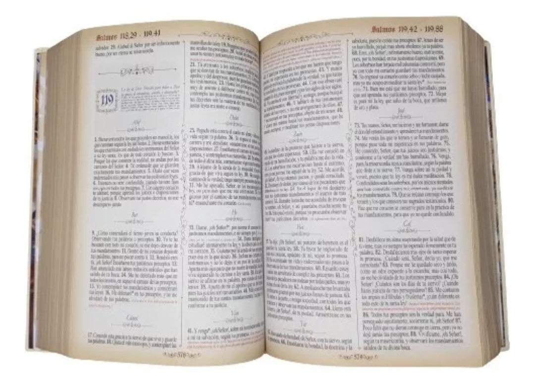 Sagrada Biblia Dorada Mediana Marfil Pasta Dura Lexus