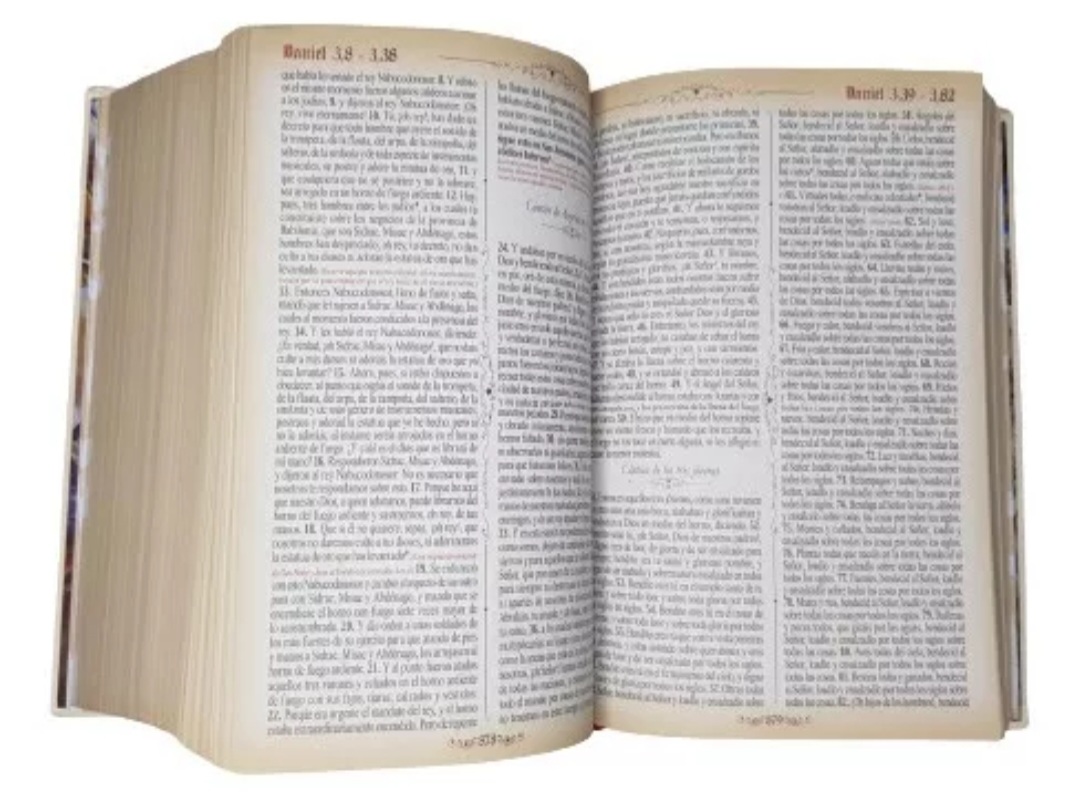 Sagrada Biblia Dorada Mediana Marfil Pasta Dura Lexus