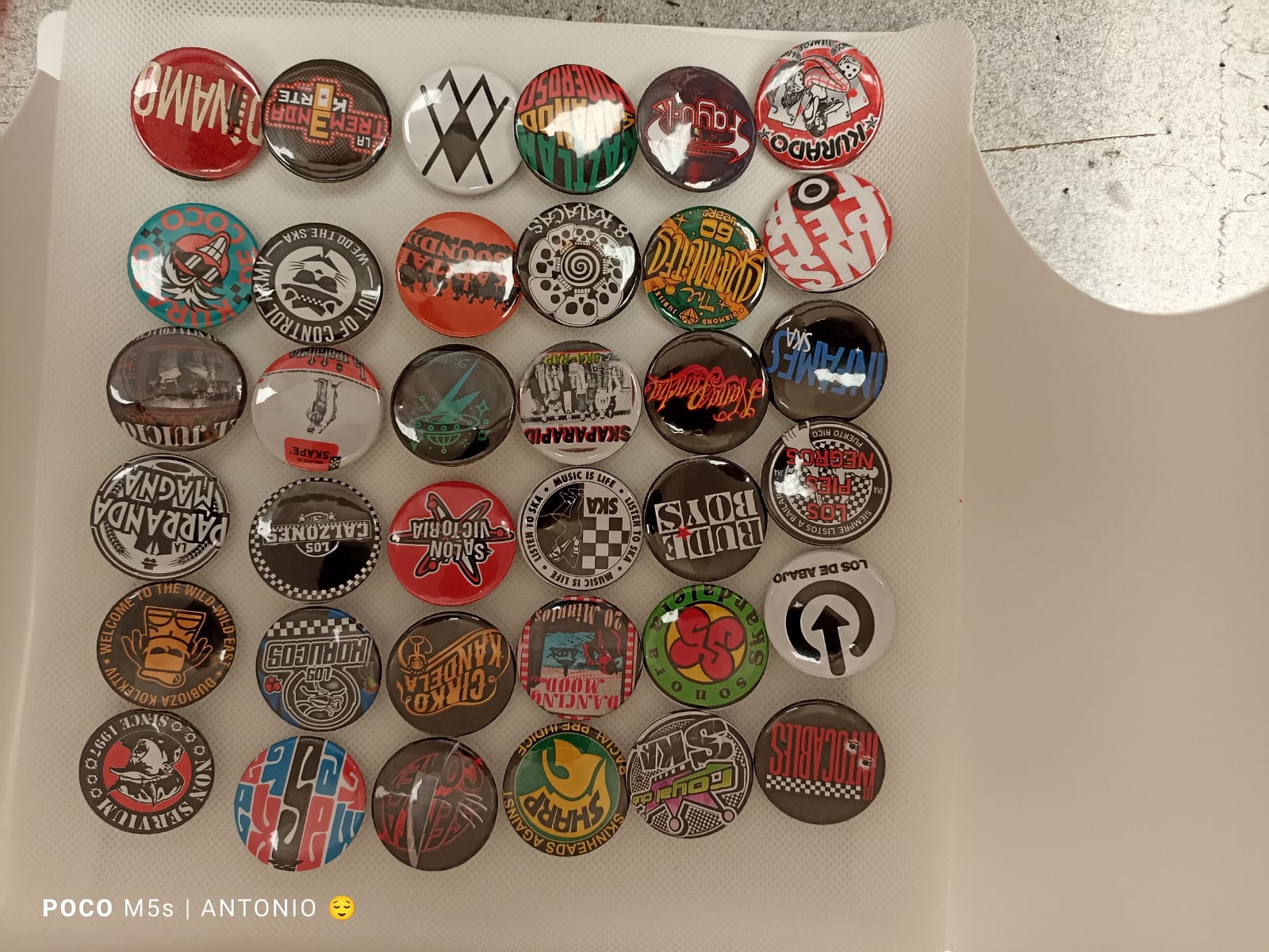 PINES, PIN SKA, FOTO BOTON, BANDAS DE SKA, 12 PIEZAS BANDAS DE SKA