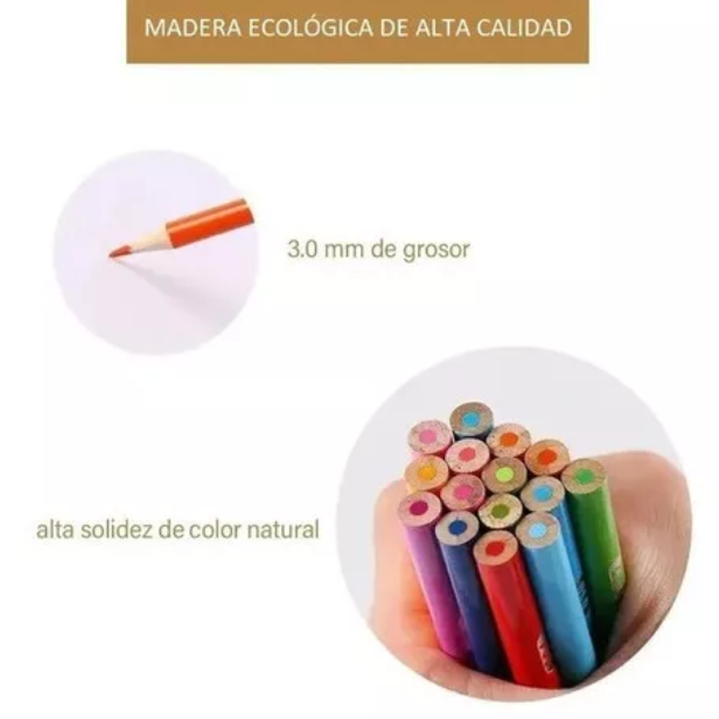 Lapices 72 De Colores Profesionales Creative 