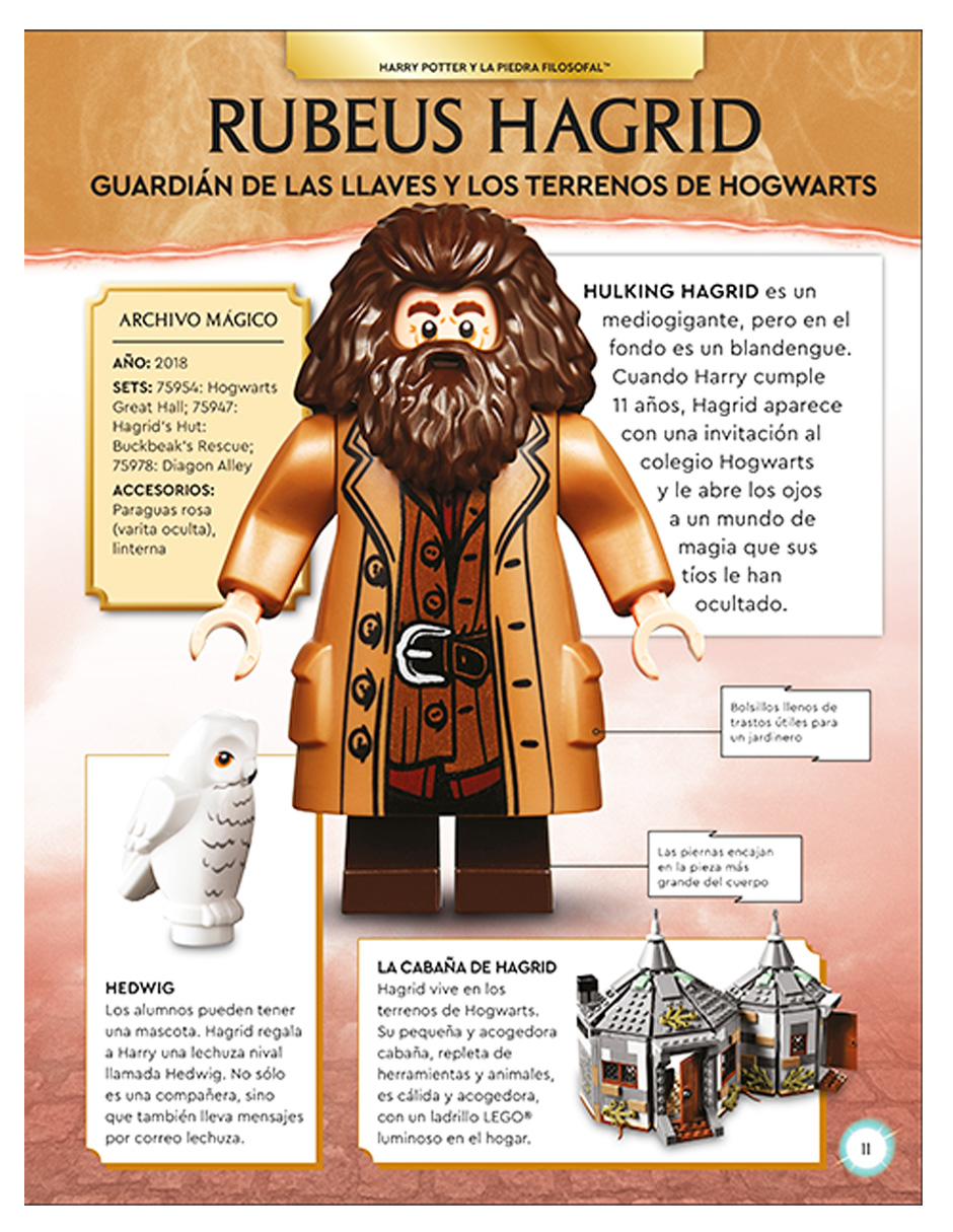 Libro Lego Harry Potter Enciclopedia de Personajes 
