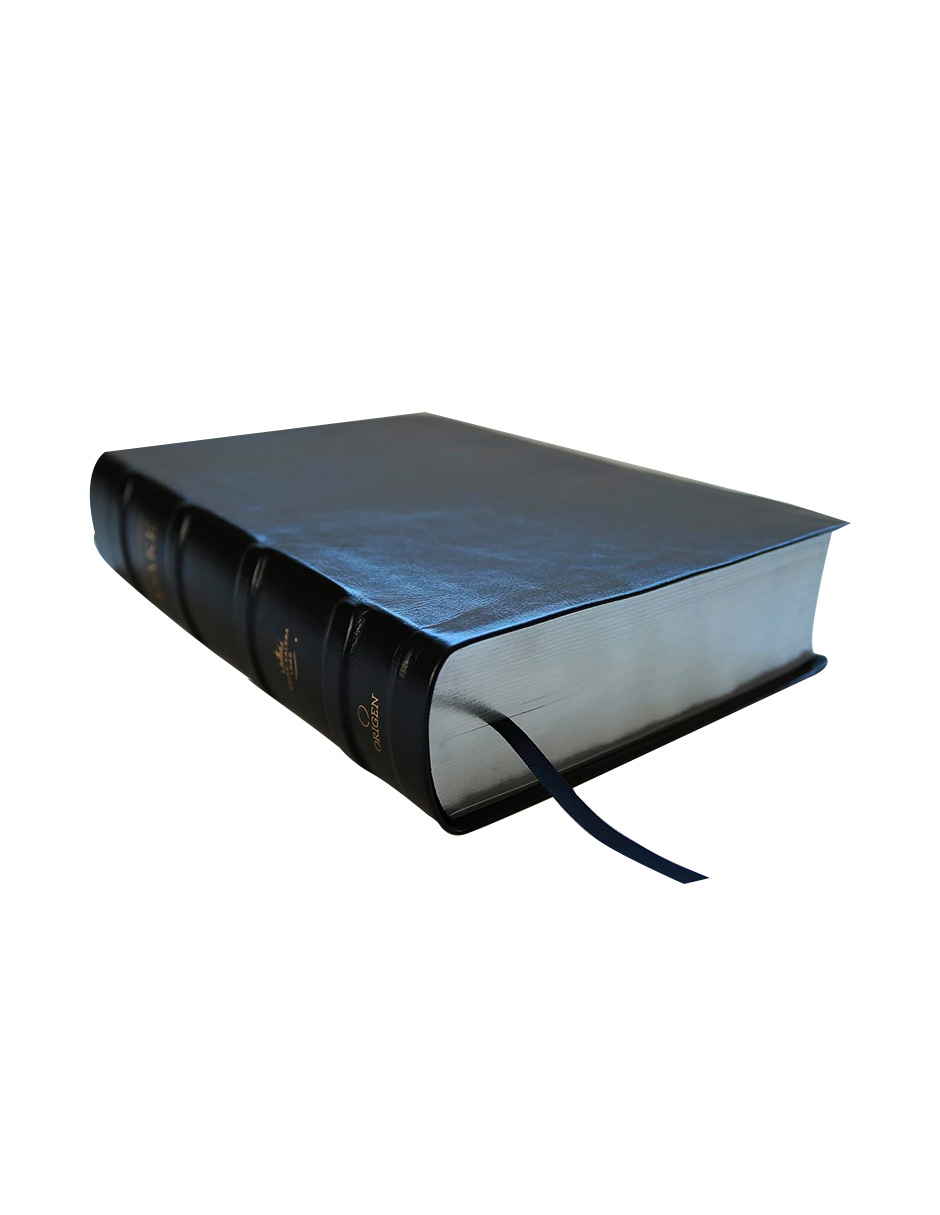 RVR 1960 Biblia de estudio Dake, tamaño grande, piel negra 