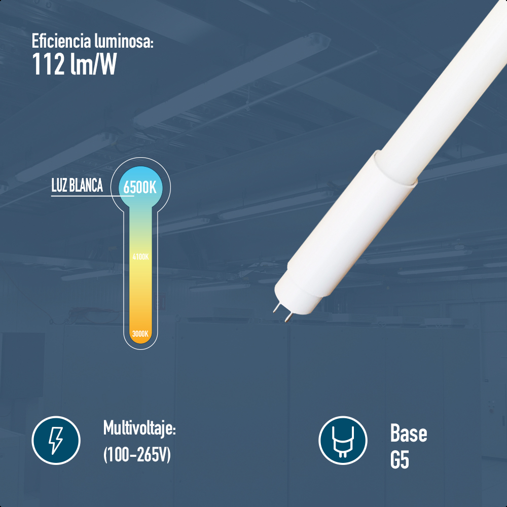 Tubo Led T5 Opalino Icon 16w 6500k 100-265v G5 Color Blanco