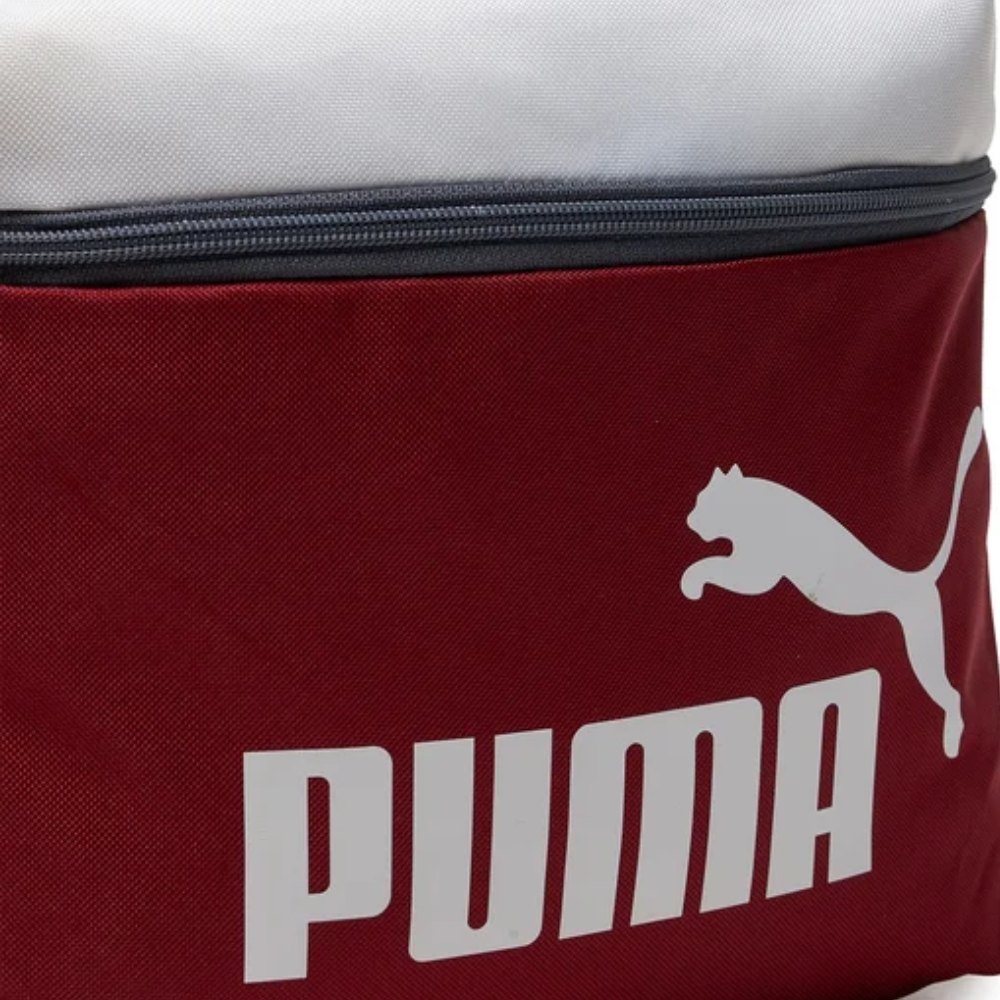 Mochila Puma Phase Backpack 22L Gris Vino 090468 07 Unisex