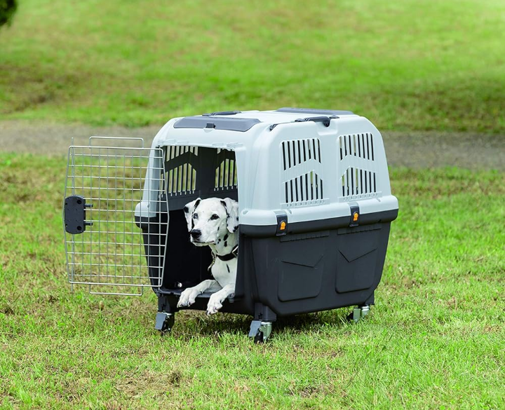 Transportadora rígida resistente para mascotas chica 