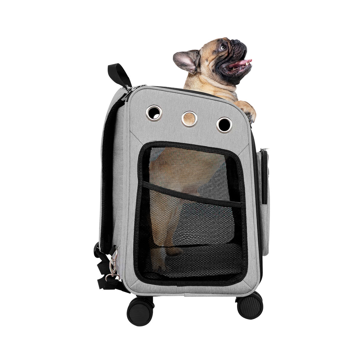 Transportadora para Perro o Gato Pet Boutique con Ruedas Dobles, Ventilación y Mango Ajustable, comodidad y Fácil Transporte