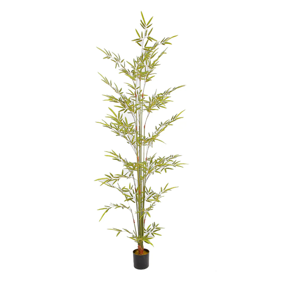 Bambú Decorativo Verde con Maceta Negra (Alto: 170cm)