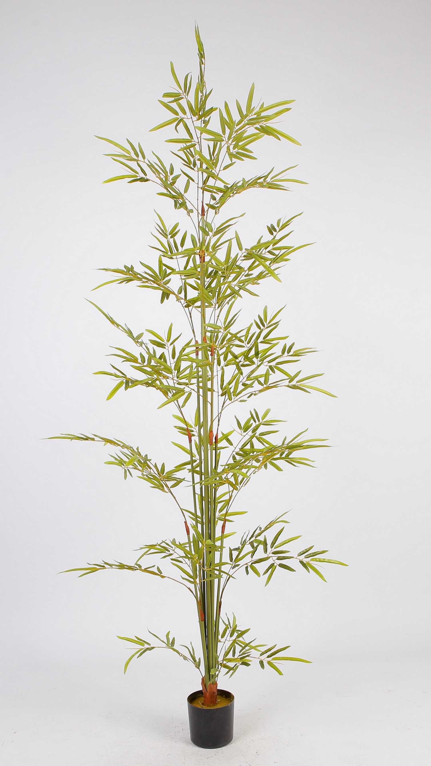 Bambú Decorativo Verde con Maceta Negra (Alto: 170cm)